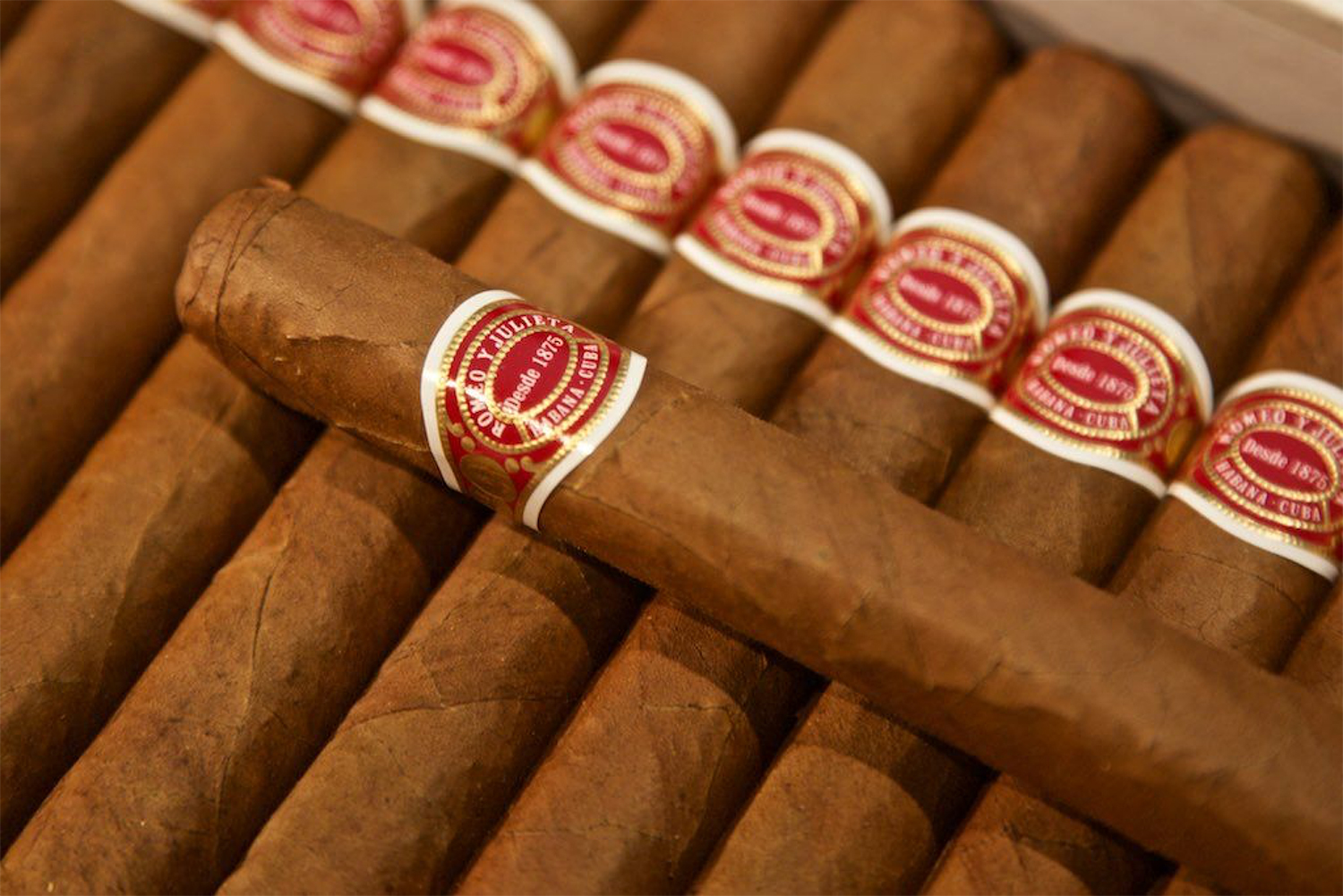 Tipple with cigars by La Casa Del Habano at Penang Rendezvous 2018 Tipple with cigars by La Casa Del Habano at Penang Rendezvous 2018
